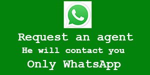 Contacto 2